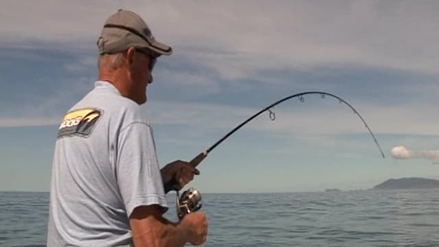 S01:É12 - S01:E12 - A Day at the Mokohinau Islands