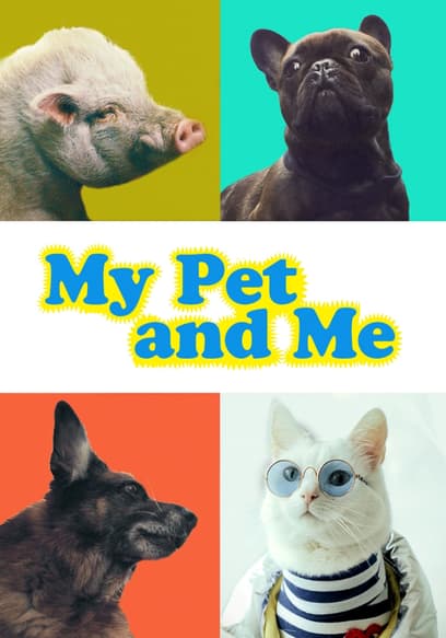 My Pet and Me