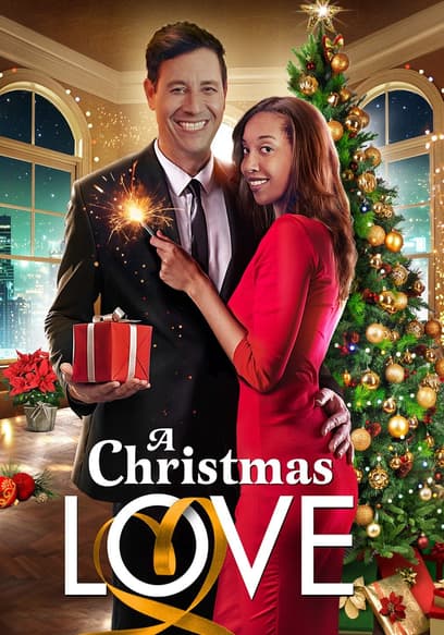 A Christmas Love