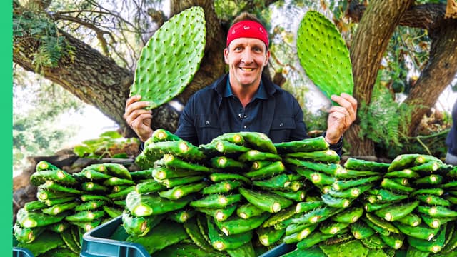 T01:C08 - S01:E08 - Cactus Only Diet