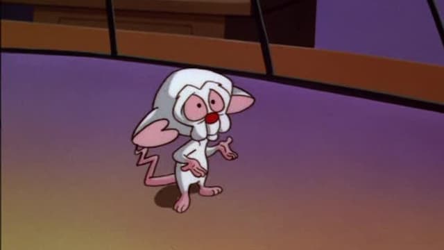 S03:É22 - S03:E22 - The Tailor and the Mice / Bah, Wilderness