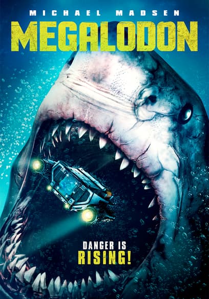 Megalodon