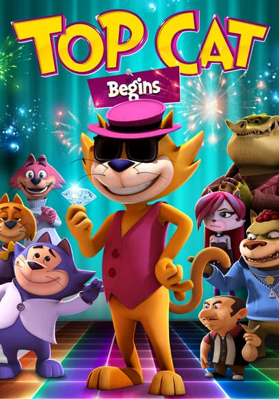 Top Cat Begins