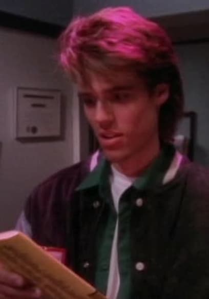 S01:E17 - Love Stinks poster