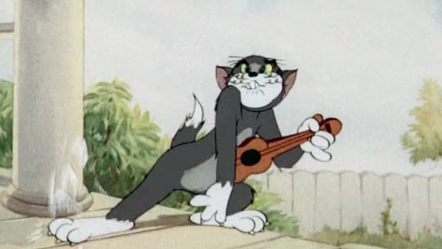 S05:E05 - Wee-Willie Wildcat / The Zoot Cat / Busy Buddies