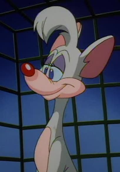 S01:E44 - The Senses Song/The World Can Wait/Kiki's Kitten poster