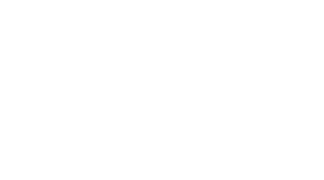 The Wedding Year