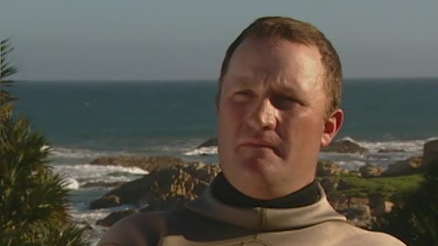 S01:E15 - Sharks of the Red Triangle