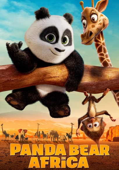 Panda Bear in Africa