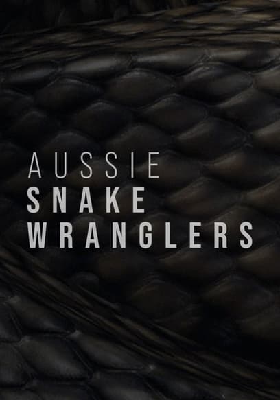 S01:E06 - Snake Surfers