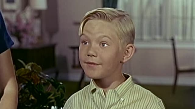 S04:E08 - Mix-Up on Marshall Road