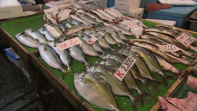 S15:E05 - Tuna