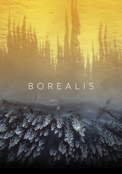 Borealis