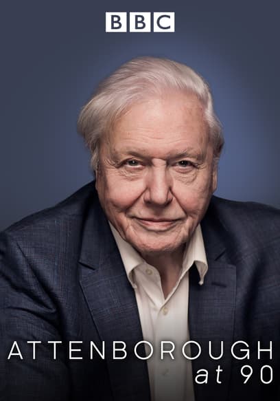 Attenborough at 90 poster