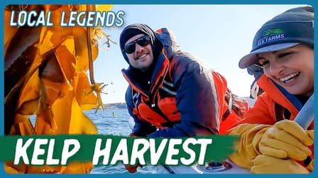 S01:E03 - Sustainable Seaweed Farming