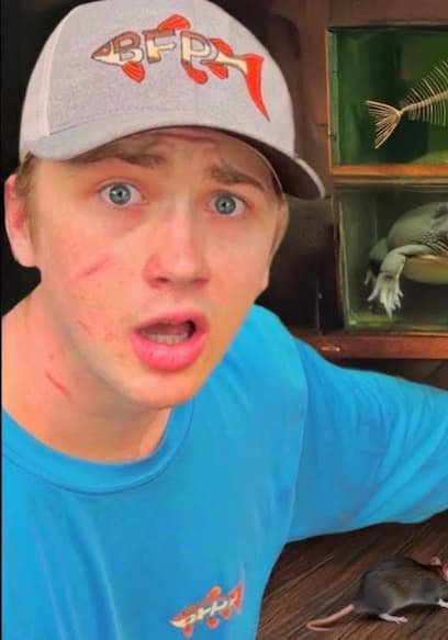 S01:E14 - I Found an Abandoned House Full of Animals! poster