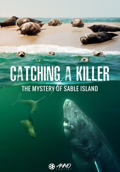 Catching a Killer: The Mystery of Sable Island poster
