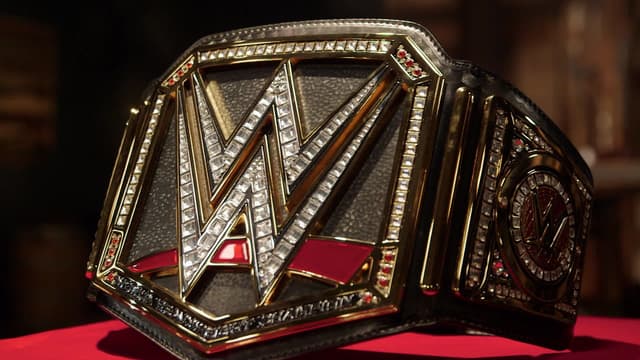 S08:E17 - WWE Edition