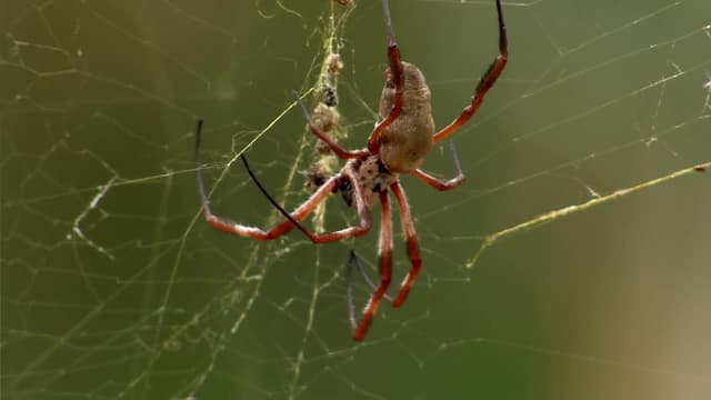 S02:E03 - Weird Whirlpools and Purple Blobs