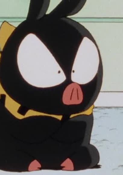 S01:E17 - Pelvic Fortune-Telling? Ranma Is the Number One Bride in Japan poster