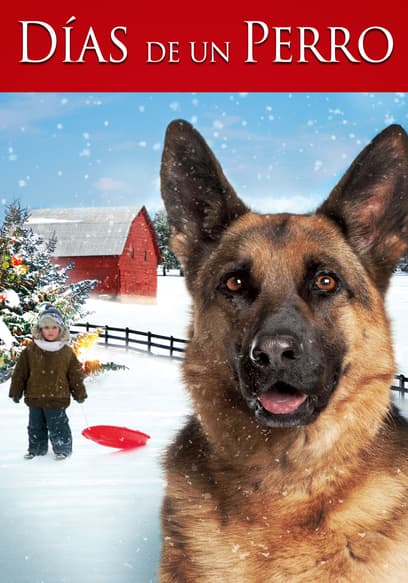 Días de un perro (Doblado)