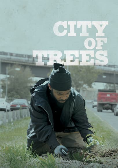 City of Trees