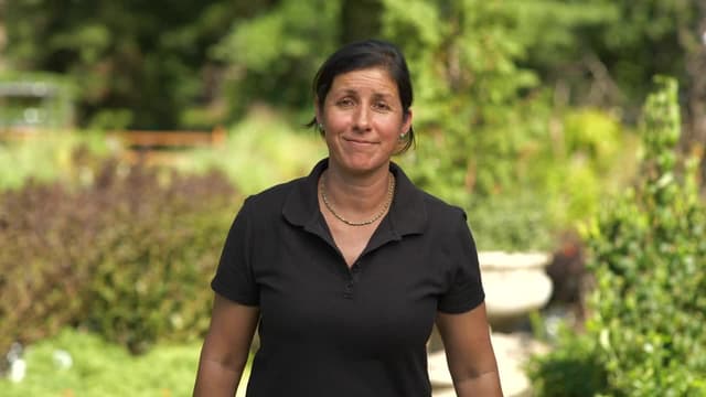 S20:E03 - Hole Patches, Threshold Repair