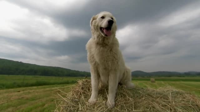 S01:E08 - Unlikely Comfort