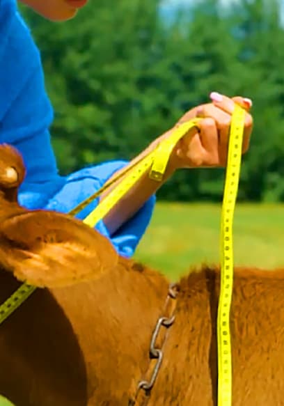 S11:E25 - Useful Farm Hacks That Will Come in Handy poster