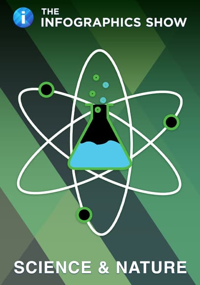 S01:E15 - Scientists Reveal How Alien Ships Would Work