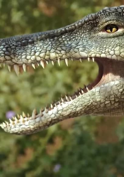 S01:E05 - Archosaurs of the Triassic Period poster