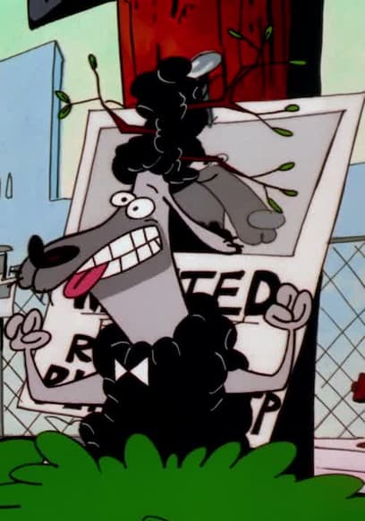 S04:E01 - Chachi the Chewing Gum Seal/Black Sheep of the Family/Enemy Camp poster