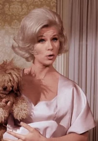 S01:E03 - It Shouldn't Happen to a Dog poster