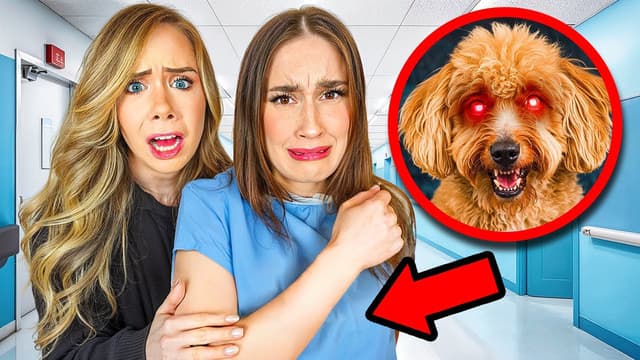S01:E10 - Puppy Bites and Ghostly Texts!