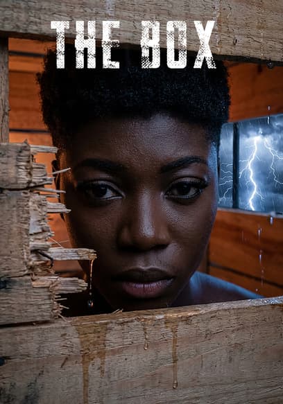 The Box poster