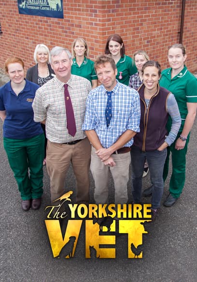 The Yorkshire Vet poster