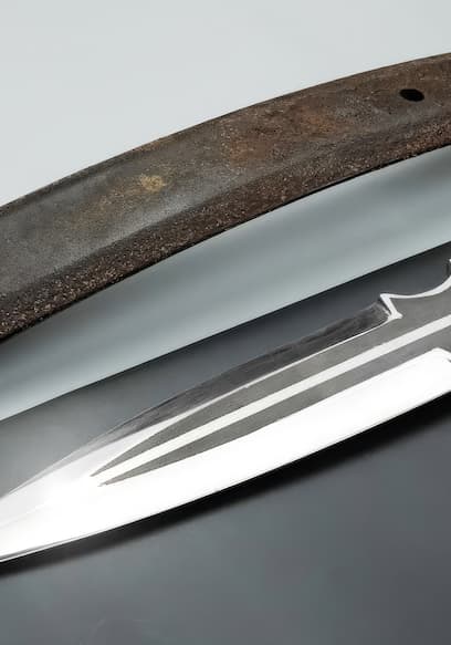 Póster de S01:E14 - Kombat Kunai