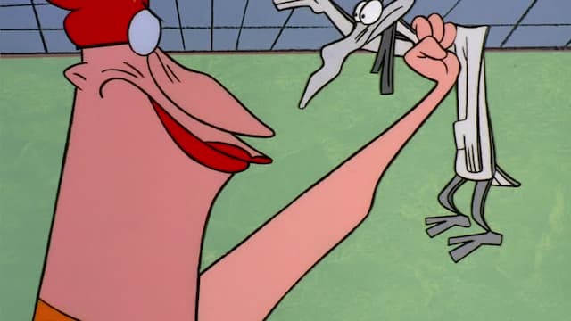 S02:E13 - Bad Chicken/Stay Awake/I.R. Wild Baboon