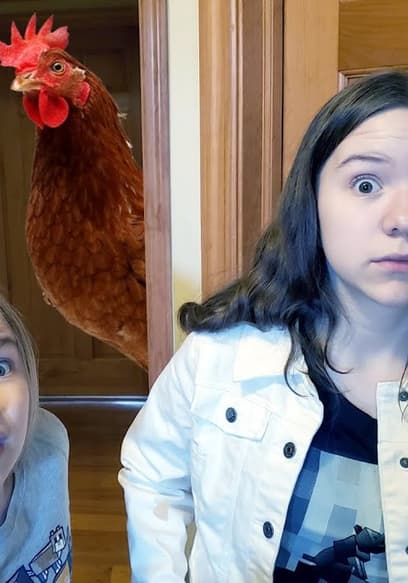 S01:E07 - Chicken Invasion! Chased by a Chicken Marathon poster