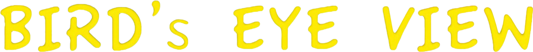 Bird's Eye View: An ET's Solution for Humanity