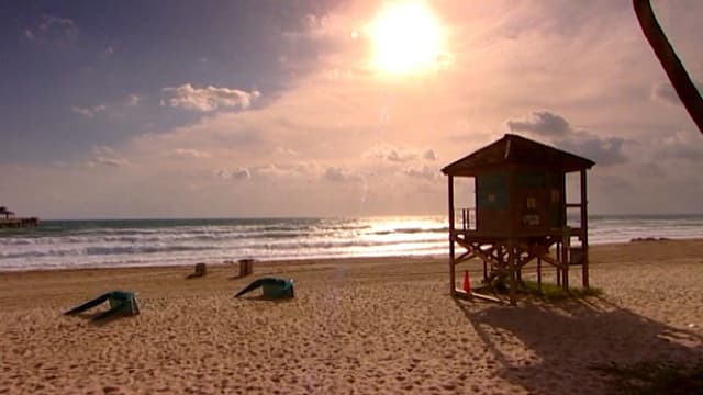 S01:E08 - Palm Beach