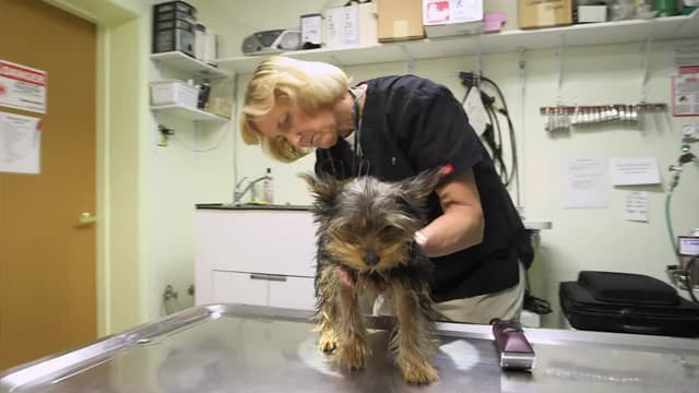 S01:E06 - Tis the Season