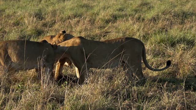 S01:E10 - Episode 10